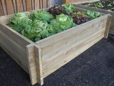 Carré potager par emboitement 60x120 Hauteur 30cm