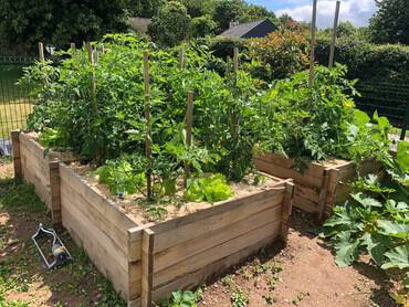 carre_potager_pin_maritime_emboitable_119x119
