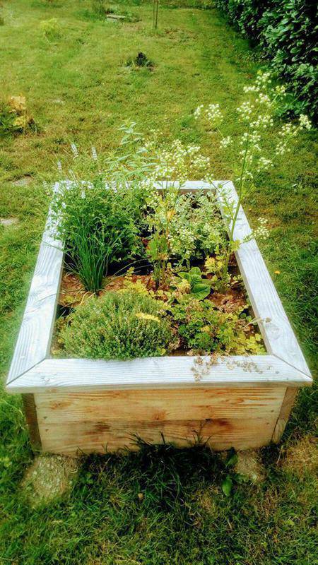 Potager sur pied en bois douglas et acier galvanisé - Haut. 80cm, vente au  meilleur prix