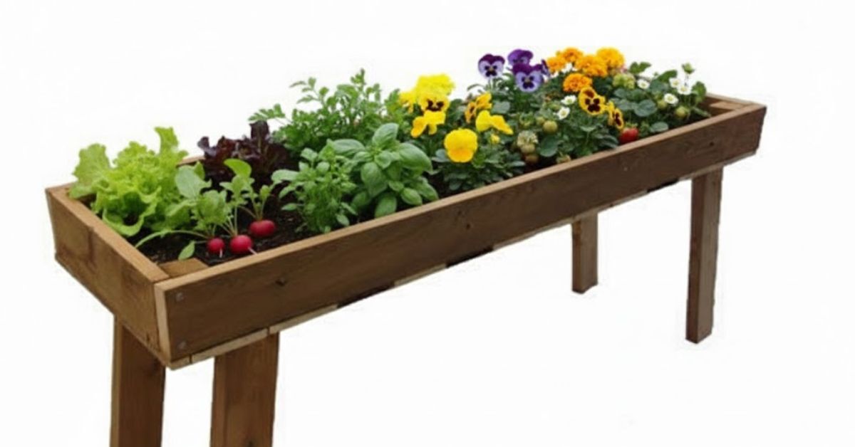 table-de-culture-potager-serre-200x60-cm