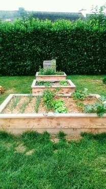 carre-potager-bois-douglas-naturel-non-traite.jpg