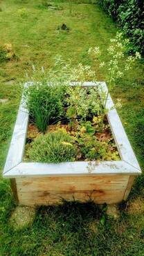 carre-potager-douglas-80x120.jpg