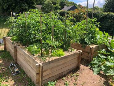 carre_potager_pin_maritime_emboitable_119x119