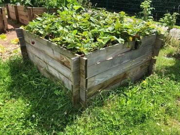 Carré Potager Pin Maritime Emboitable