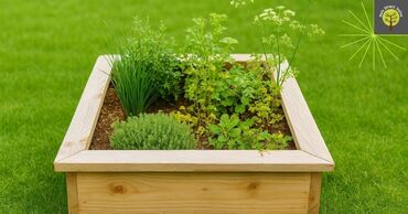 carre-potager-douglas-120x120.jpg