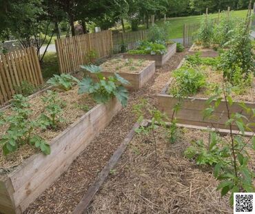 plantation-legumes-carre-potager-120x130.jpg