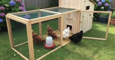 poulailler-pour-jardin-tarif-direct-scierie