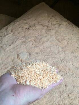 sciure-de-bois-non-traitee-direct-scierie